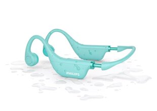 Philips TAK4607GR/00 cena un informācija | Philips Perifērijas ierīces | 220.lv