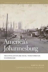 America's Johannesburg: Industrialization and Racial Transformation in Birmingham cena un informācija | Sociālo zinātņu grāmatas | 220.lv