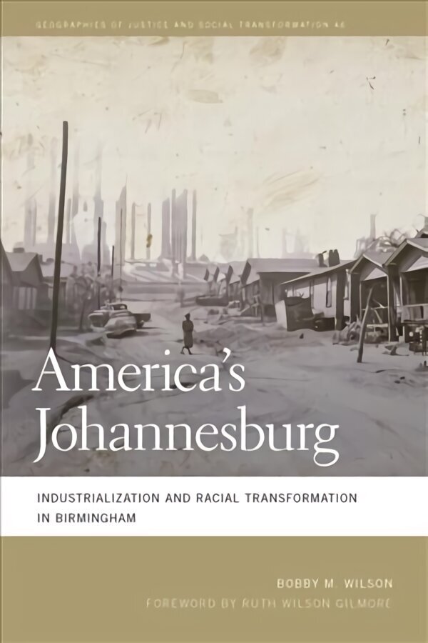 America's Johannesburg: Industrialization and Racial Transformation in Birmingham цена и информация | Sociālo zinātņu grāmatas | 220.lv