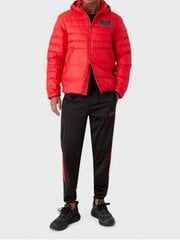Мужская куртка EA7 Down Racing Red 280545403 цена и информация | Мужские куртки | 220.lv