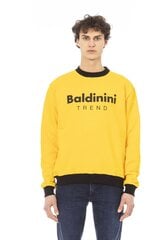 Džemperis Baldinini Trend - 6510141_COMO 6510141_COMO_GIALLOYELLOW-XXL cena un informācija | Vīriešu džemperi | 220.lv