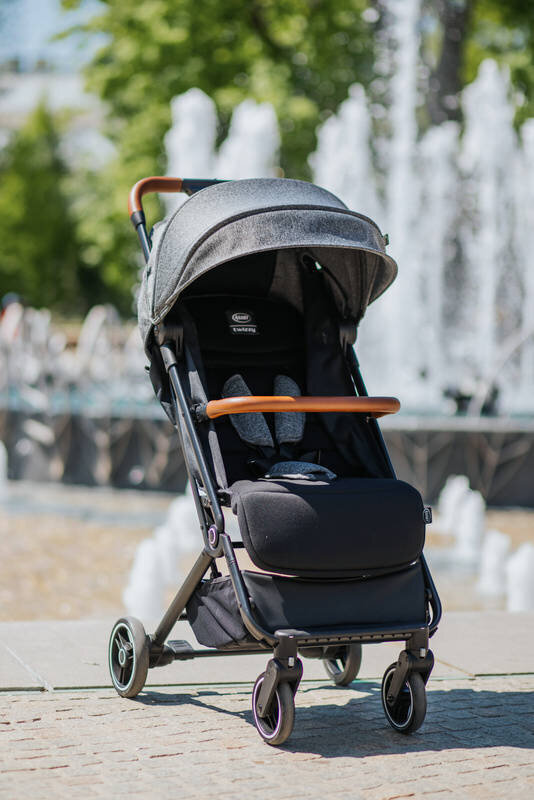 Universālie ratiņi 4Baby Twizzy XXII, Grey цена и информация | Bērnu rati | 220.lv