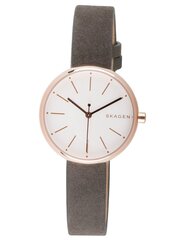 Женские часы Skagen SKW2644 цена и информация | Женские часы | 220.lv