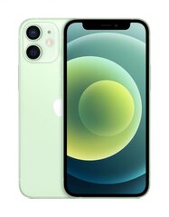 iPhone 12 64GB Green (atnaujintas, stāvoklis A) cena un informācija | Mobilie telefoni | 220.lv