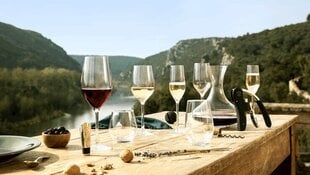 L' Atelier du Vin sarkanvīna glāzes 450 ml - komplektā 2 gab. цена и информация | Стаканы, фужеры, кувшины | 220.lv