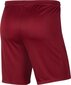 Sporta šorti vīriešiem Nike Dry Park III M BV6855-677, sarkani cena un informācija | Sporta apģērbs vīriešiem | 220.lv
