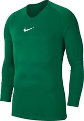 Футболка мужская Nike Dry Park First Layer M AV2609-302, зеленого цвета цена и информация | Мужская спортивная одежда | 220.lv