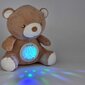 Projektors 2in1 Woopie, Teddy Bear cena un informācija | Rotaļlietas zīdaiņiem | 220.lv