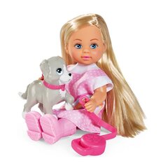 SIMBA Doll Evi цена и информация | Игрушки для девочек | 220.lv