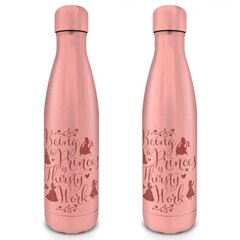 Metāla pudele Disney Princesė, 550 ml cena un informācija | Ūdens pudeles | 220.lv