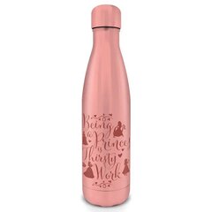 Metāla pudele Disney Princesė, 550 ml cena un informācija | Ūdens pudeles | 220.lv