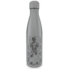 Metāla pudele Star Wars, 550 ml цена и информация | Фляги для воды | 220.lv