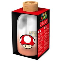 Stikla pudele Nintendo Super Mario Bros, 620 ml cena un informācija | Ūdens pudeles | 220.lv