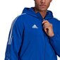 Džemperis Adidas Tiro 21 Windbreaker M, zils cena un informācija | Sporta apģērbs vīriešiem | 220.lv