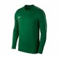 Nike krekls bērniem Y Dry Park 18 Crew Top Junior AA2089-302 цена и информация | Zēnu krekli | 220.lv