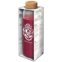 Стеклянная бутылка с силиконовой крышкой Гарри Поттер, 585 мл цена и информация | Атрибутика для игроков | 220.lv
