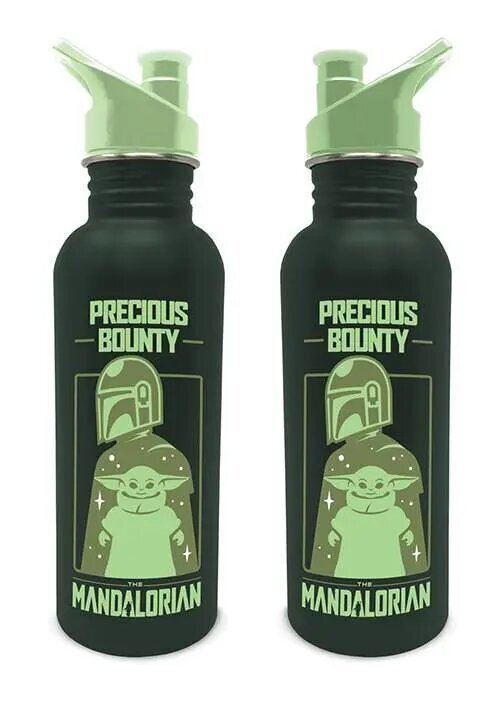 Pudele Star Wars The Mandalorian Precious Bounty, 700 ml cena un informācija | Ūdens pudeles | 220.lv