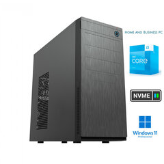 H&B i3-13100 16GB 1TB NVME SSD Windows 11 Professional Stacionārais dators cena un informācija | Stacionārie datori | 220.lv