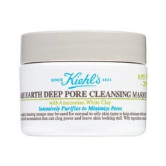 Очищающая маска для лица Kiehl'S Ladies Rare Earth Deep Pore Cleansing Masque, 125 мл цена и информация | Маски для лица, патчи для глаз | 220.lv