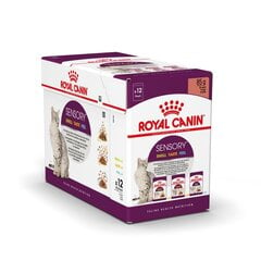 Royal Canin Sensory Smell Taste Feel Pack Gravy konservi kaķiem, 3x4x85 g cena un informācija | Konservi kaķiem | 220.lv