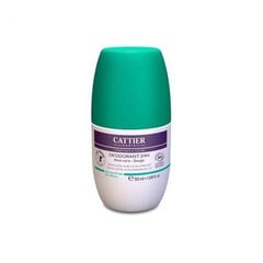 Cattier Paris Cattier Desodorante Roll-On Aloe 50ml cena un informācija | Dezodoranti | 220.lv