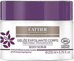 Cattier Paris Cattier Gel Exfoliante Arcilla 200ml цена и информация | Скрабы для тела | 220.lv