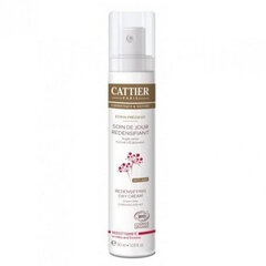 Dienas sejas krēms Cattier Ecrin Precious Redensifying Day Care, 50ml цена и информация | Наносите на чистую кожу лица. Подержите около 10-15 минут и смойте водой. | 220.lv