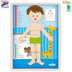 Woody 91922 Eko koka attīstošā puzle - Cilvēka ķermenis Zēns (EN versija) (12gab.) bērniem no 3 gadiem + (22.5x30x0.8см) cena un informācija | Puzles, 3D puzles | 220.lv