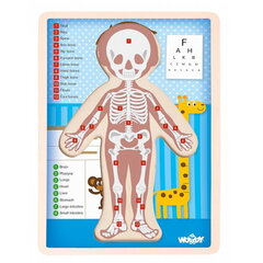 Woody 91922 Eko koka attīstošā puzle - Cilvēka ķermenis Zēns (EN versija) (12gab.) bērniem no 3 gadiem + (22.5x30x0.8см) cena un informācija | Woody Rotaļlietas, bērnu preces | 220.lv