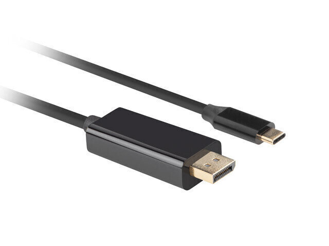 Lanberg, USB-C/DP, 0.5 m цена и информация | Kabeļi un vadi | 220.lv