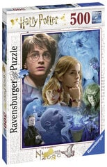 Пазл Ravensburger Harry Potter, 500 деталей цена и информация | Пазлы | 220.lv
