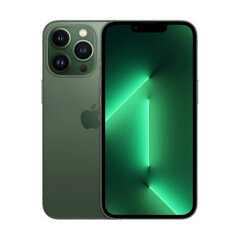 iPhone 13 Pro 128GB Alpine Green (atjaunots, stāvoklis A) cena un informācija | Mobilie telefoni | 220.lv