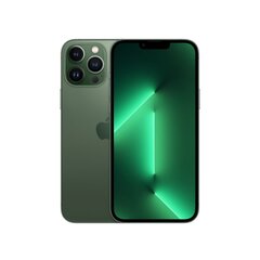 Телефон iPhone 13 Pro Max 256GB Alpine Green (обновленный, состояние A) цена и информация | Мобильные телефоны | 220.lv
