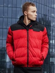 зимняя куртка c458 - красная цена и информация | Мужские куртки | 220.lv