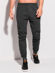 спортивные штаны p1282 - темно-серые цена и информация | Мужские брюки | 220.lv