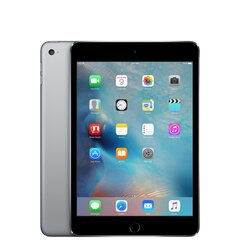 Планшет iPad Mini 4 7.9" 16GB WiFi Space Gray (обновленный, состояние A) цена и информация | Планшеты | 220.lv