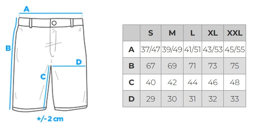 Sporta krekli - pelēks/melns V3 P29 cena un informācija | Vīriešu šorti | 220.lv