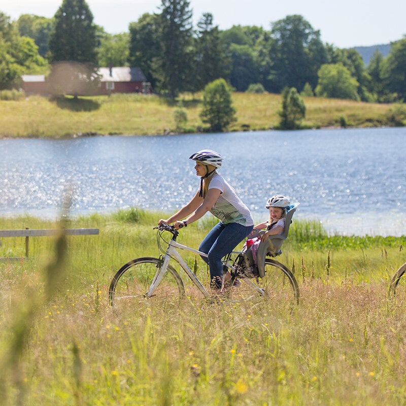 Aizmugurējais velosipēda sēdeklis Hamax Sleepy, pelēks/zils цена и информация | Bērnu velosipēdu sēdeklīši | 220.lv