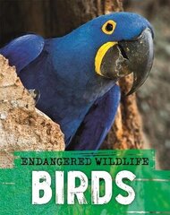 Endangered Wildlife: Rescuing Birds cena un informācija | Grāmatas pusaudžiem un jauniešiem | 220.lv
