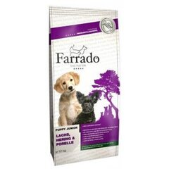Лосось, сельдь и форель FARRADO Puppy Junior, 12 кг цена и информация | Сухой корм для собак | 220.lv