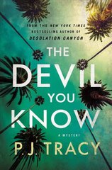 Devil You Know: A Mystery цена и информация | Фантастика, фэнтези | 220.lv