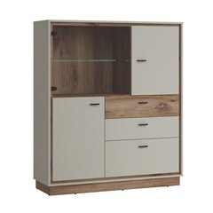 Showcase RIVERO 124x40xH143cm, oak/grey цена и информация | Витрины, серванты | 220.lv