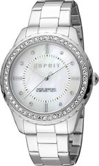 Esprit Скайлер XL ES1L353M0045 цена и информация | Женские часы | 220.lv