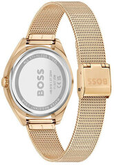 Часы Hugo Boss 1502668 цена и информация | Женские часы | 220.lv