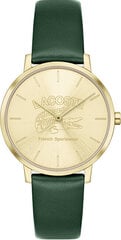 Lacoste Crocorigin 2001233 цена и информация | Женские часы | 220.lv