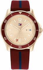 Tommy Hilfiger Brūka 1782510 цена и информация | Женские часы | 220.lv