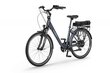 Elektriskais velosipēds Ecobike Traffic 11,6 Ah Greenway, zils цена и информация | Elektrovelosipēdi | 220.lv