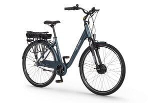 Электрический велосипед Ecobike Basic Nexus 11,6 Ач Greenway, синий цена и информация | Электровелосипеды | 220.lv