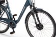 Elektriskais velosipēds Ecobike Basic Nexus 11,6 Ah Greenway, zils cena un informācija | Elektrovelosipēdi | 220.lv