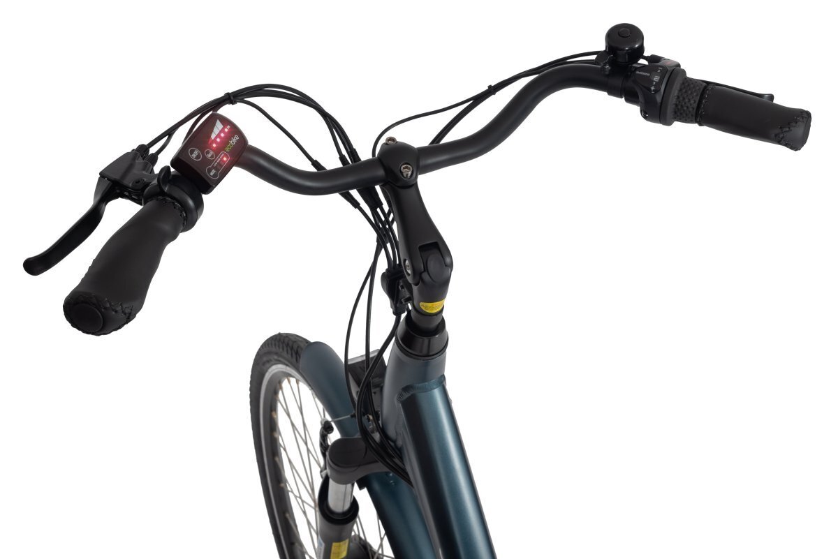 Elektriskais velosipēds Ecobike Basic Nexus 11,6 Ah Greenway, zils cena un informācija | Elektrovelosipēdi | 220.lv